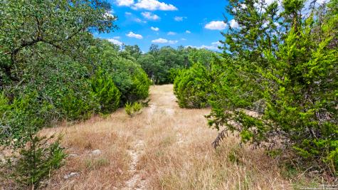 32311 Koch Drive Bulverde TX 78163