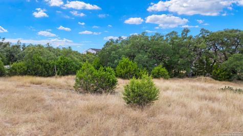 32311 Koch Drive Bulverde TX 78163