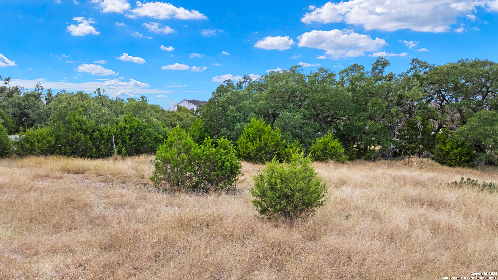 32311 Koch Drive Bulverde TX 78163