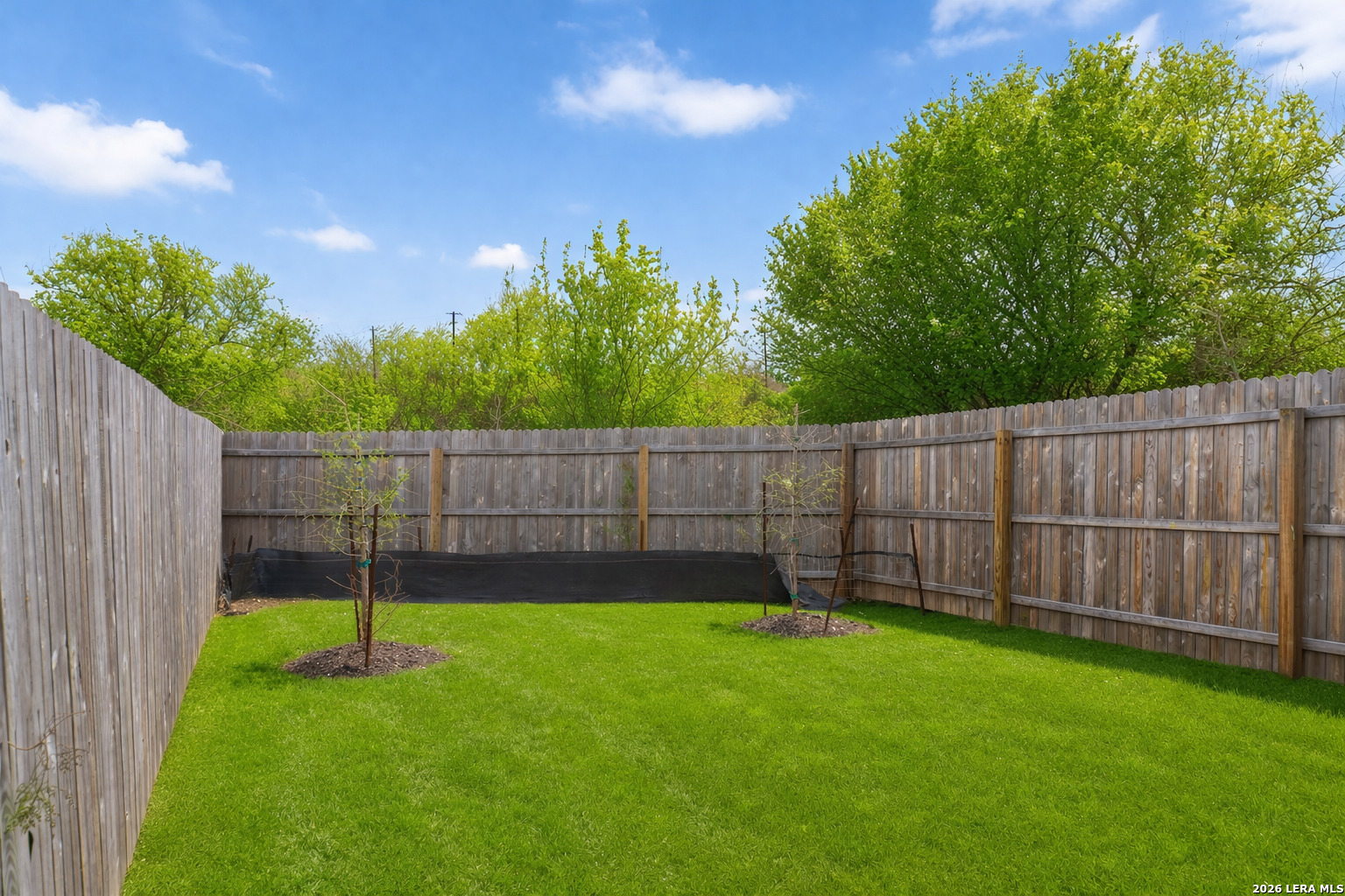 7137 Elm Cove San Antonio TX 78244