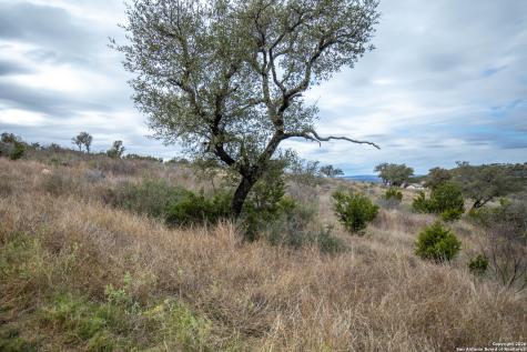 Lot 94 Hidden Cove Kingsland TX 78639