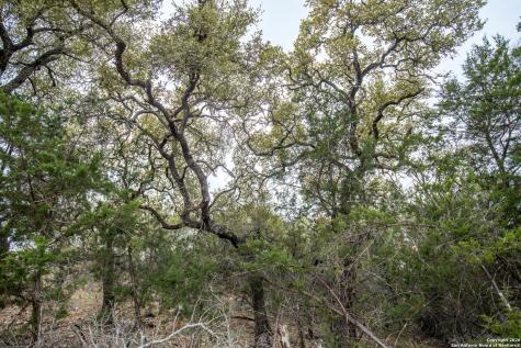 Lot 94 Hidden Cove Kingsland TX 78639