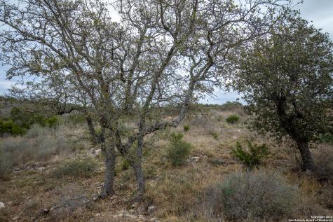 Lot 94 Hidden Cove Kingsland TX 78639