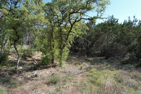 34749 Carries Creek Bulverde TX 78163
