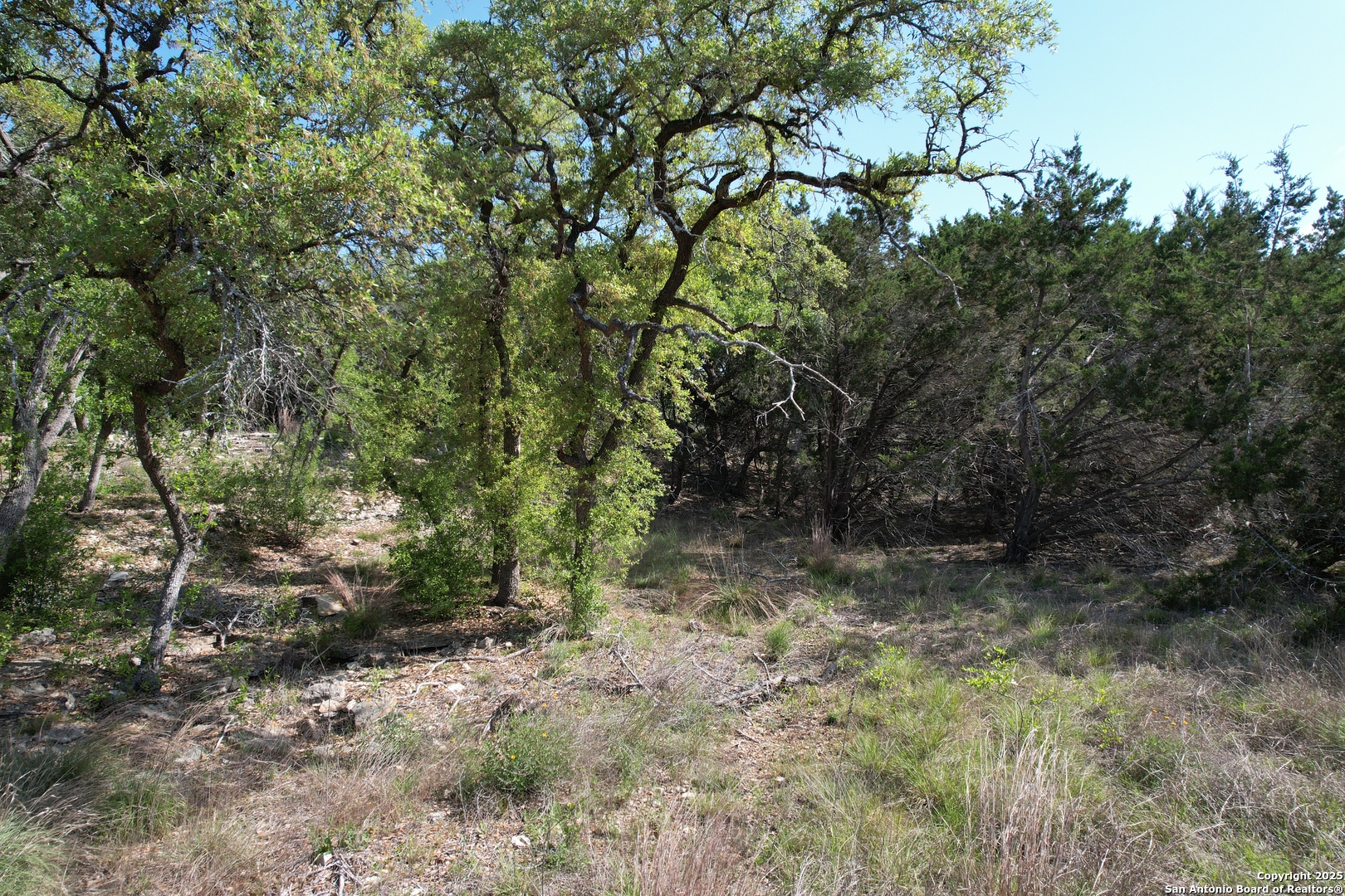 34749 Carries Creek Bulverde TX 78163