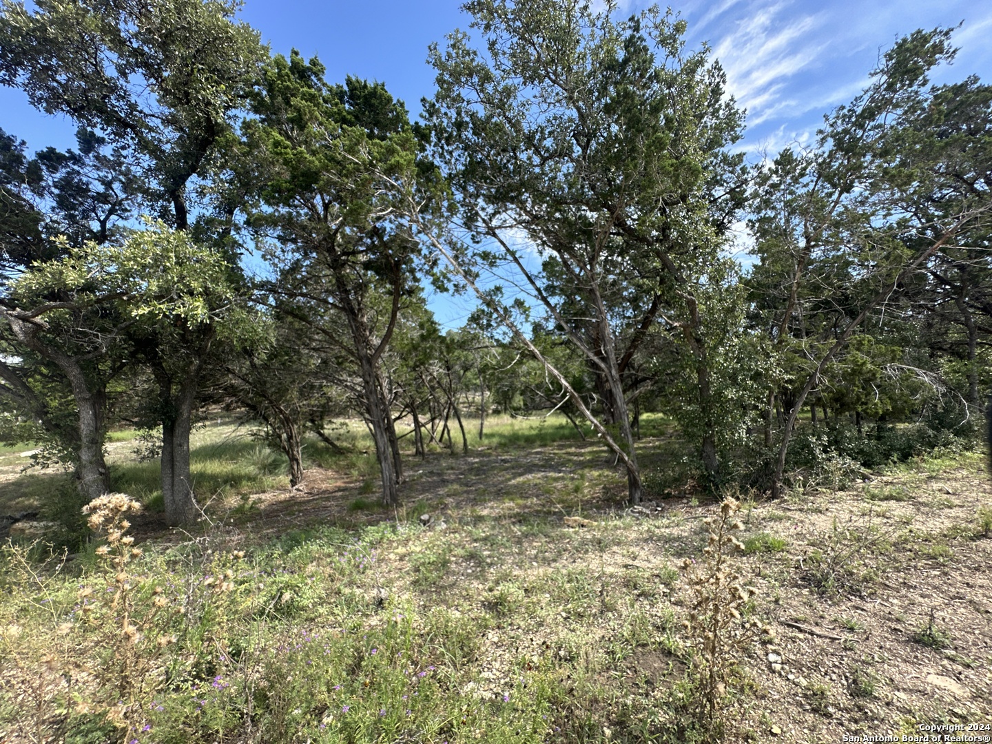 34749 Carries Creek Bulverde TX 78163