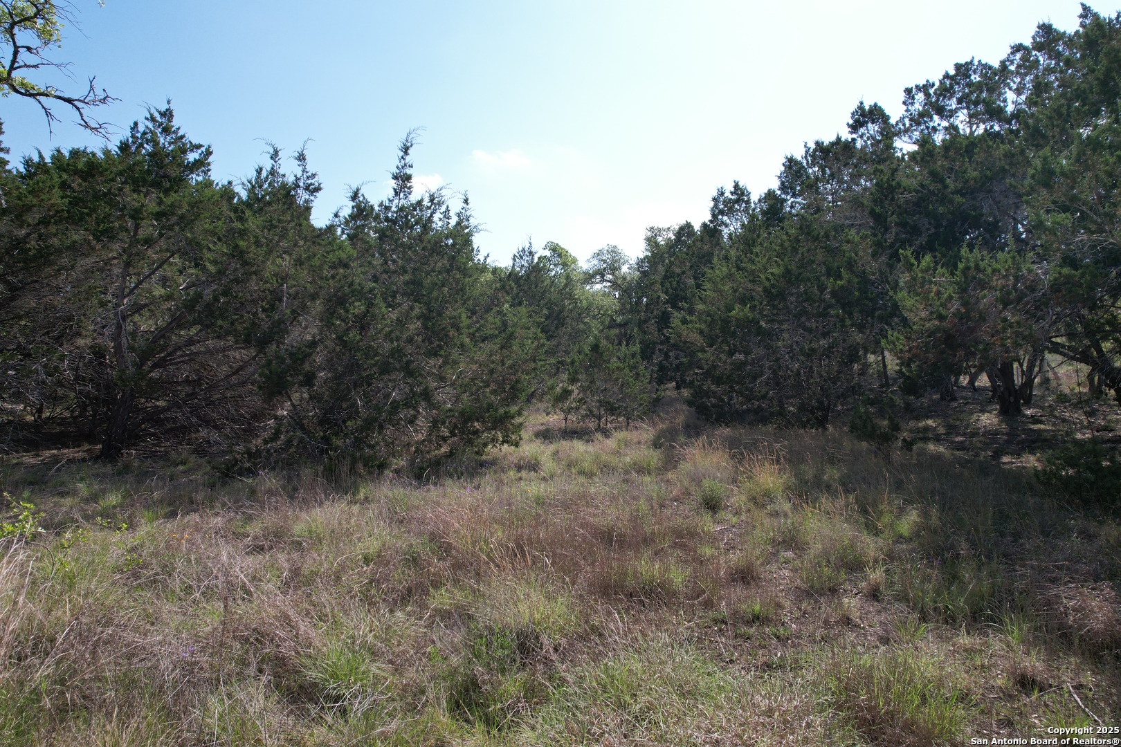 34749 Carries Creek Bulverde TX 78163