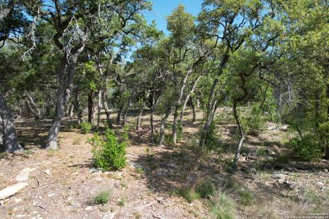 34749 Carries Creek Bulverde TX 78163