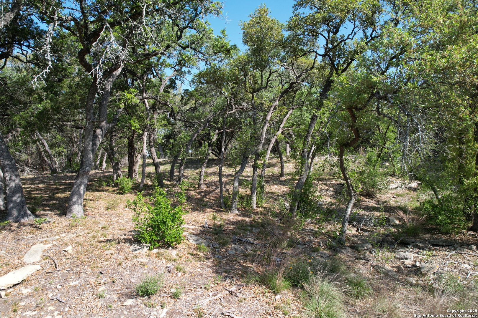 34749 Carries Creek Bulverde TX 78163