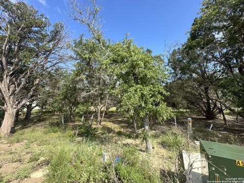 34749 Carries Creek Bulverde TX 78163
