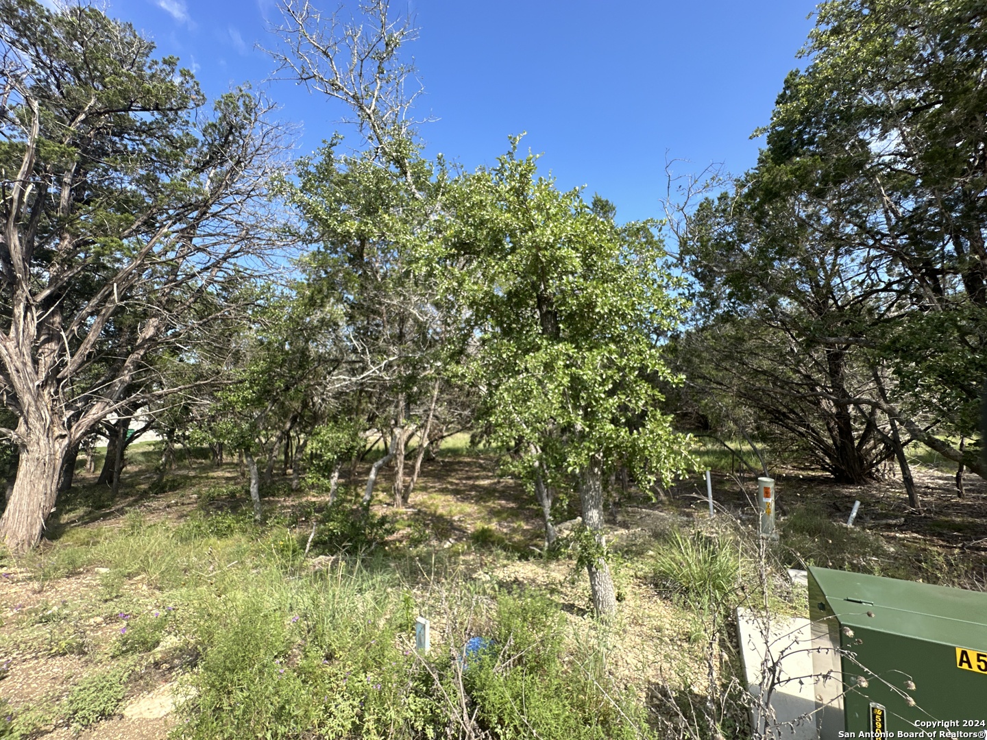 34749 Carries Creek Bulverde TX 78163