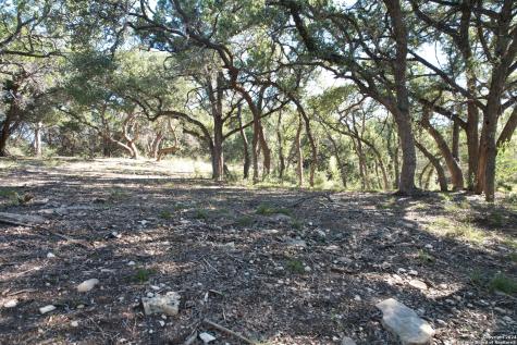 34749 Carries Creek Bulverde TX 78163
