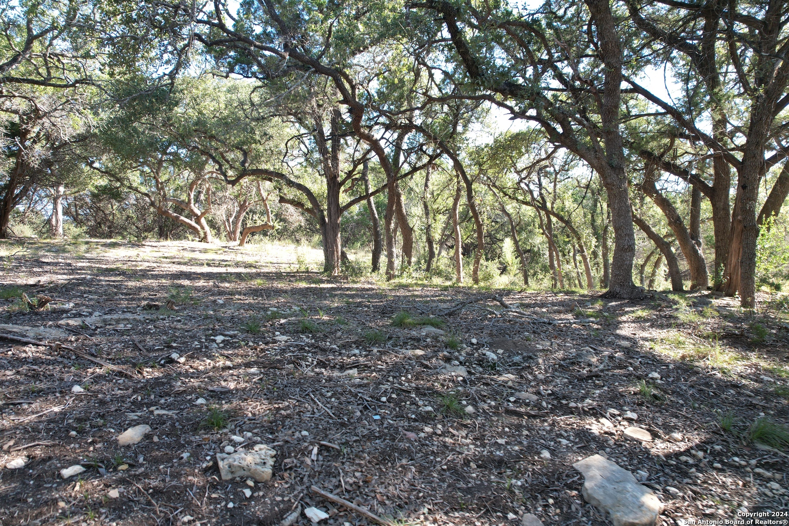 34749 Carries Creek Bulverde TX 78163