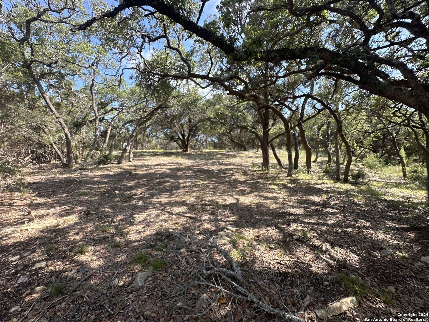 34749 Carries Creek Bulverde TX 78163
