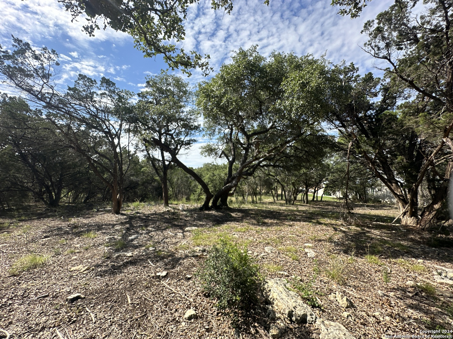 34749 Carries Creek Bulverde TX 78163