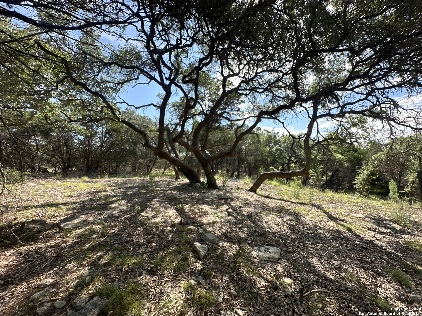 34749 Carries Creek Bulverde TX 78163