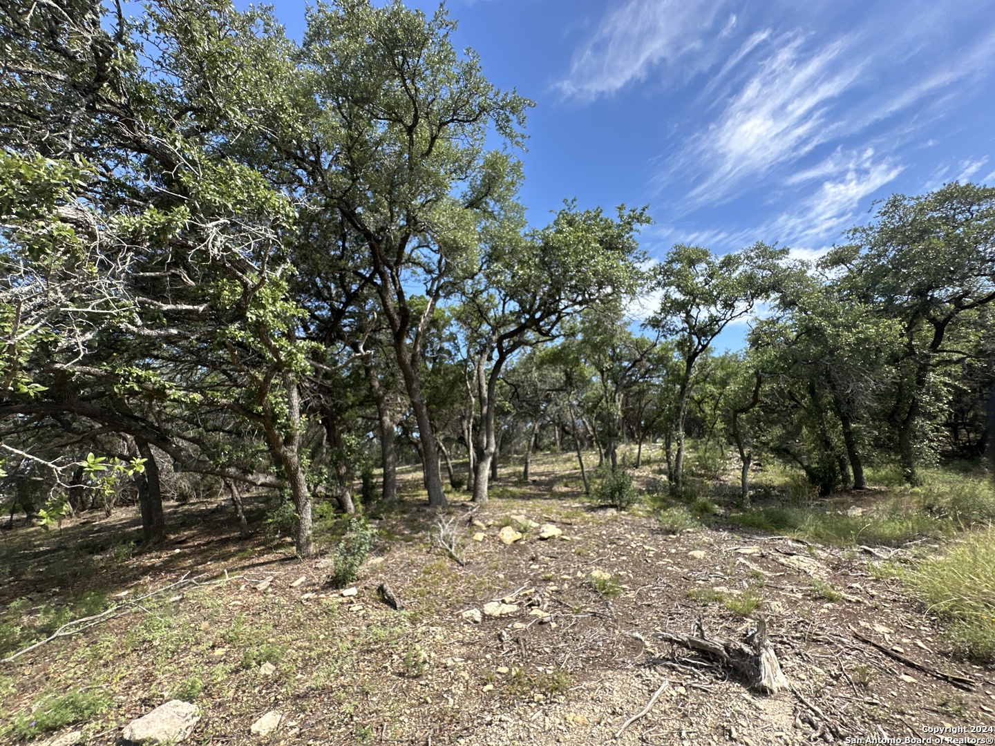 34749 Carries Creek Bulverde TX 78163