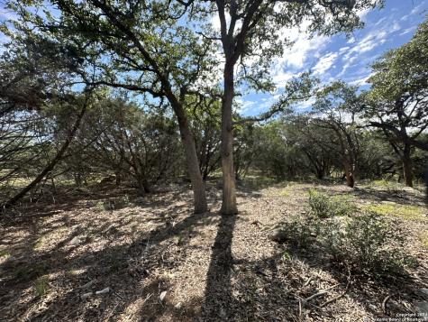 34749 Carries Creek Bulverde TX 78163