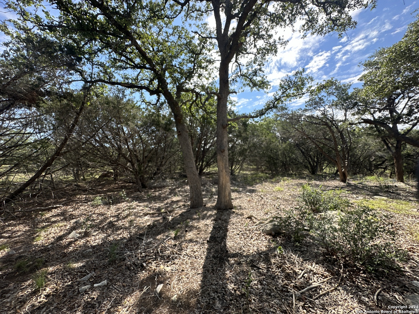 34749 Carries Creek Bulverde TX 78163