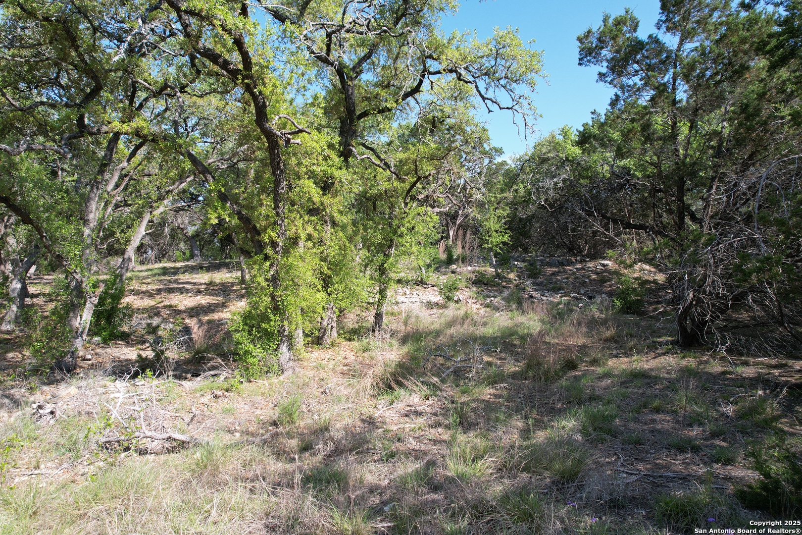 34749 Carries Creek Bulverde TX 78163