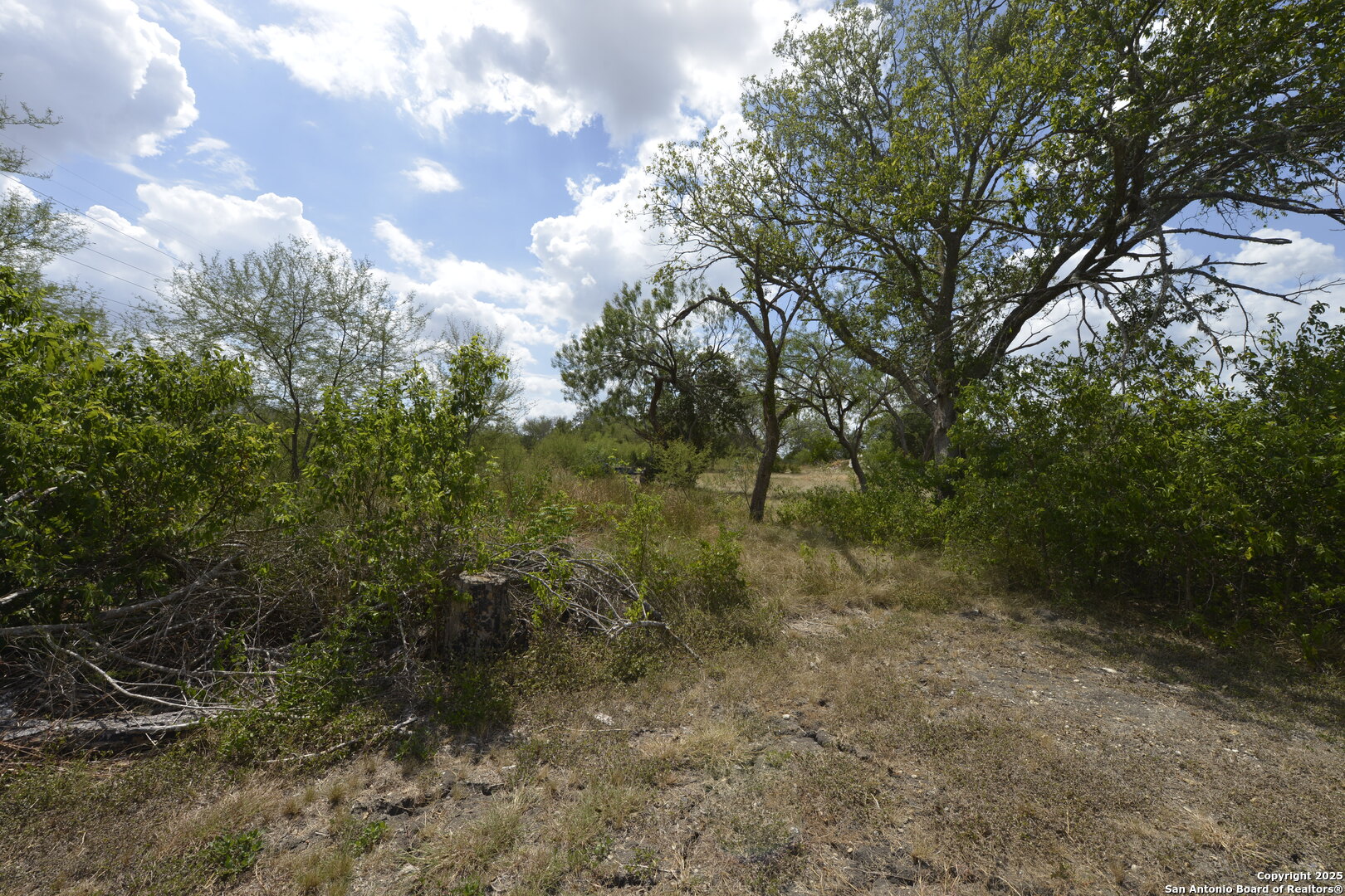 633 Tolle Cibolo TX 78108