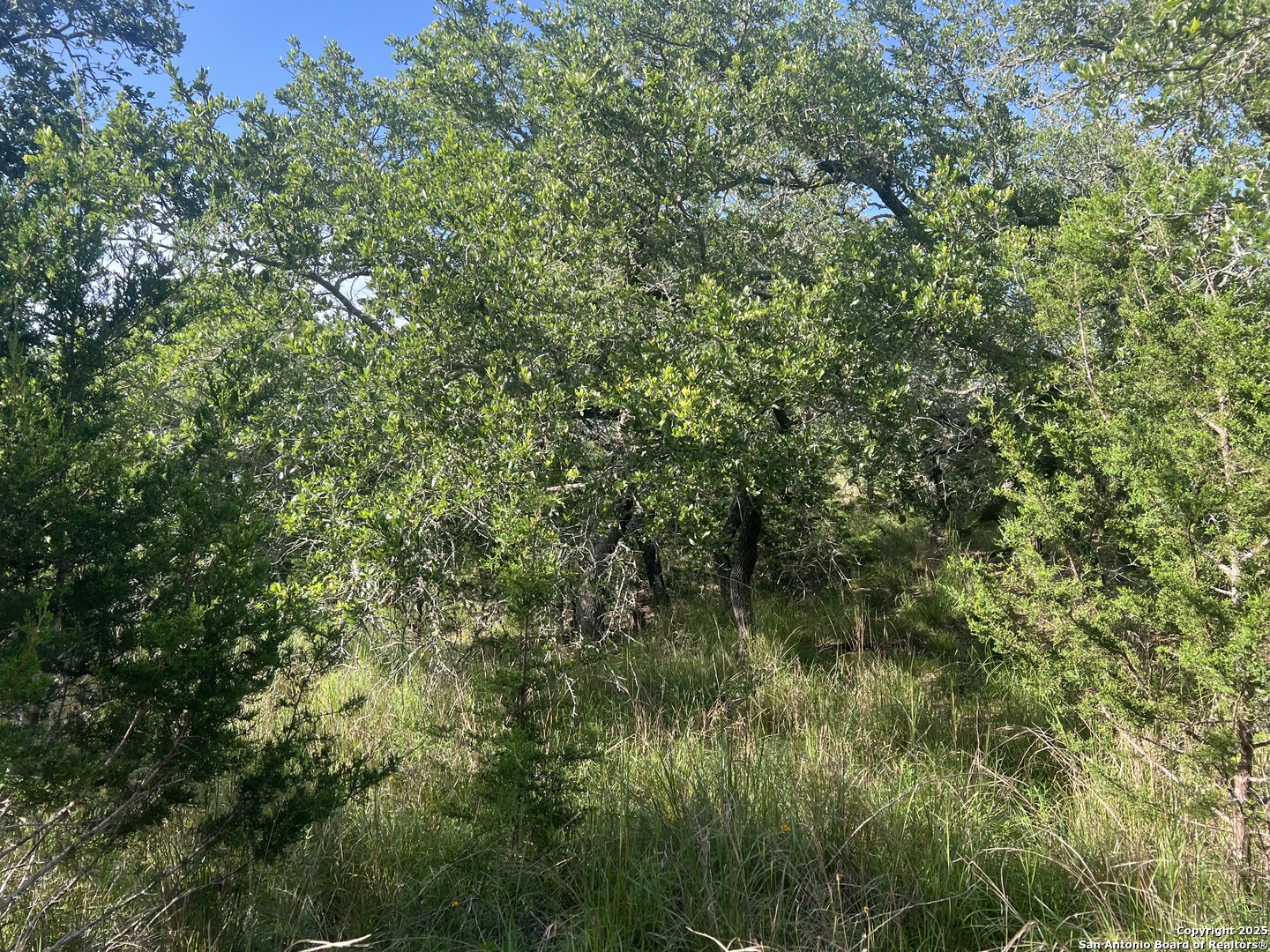 118 Coleman Boerne TX 78006