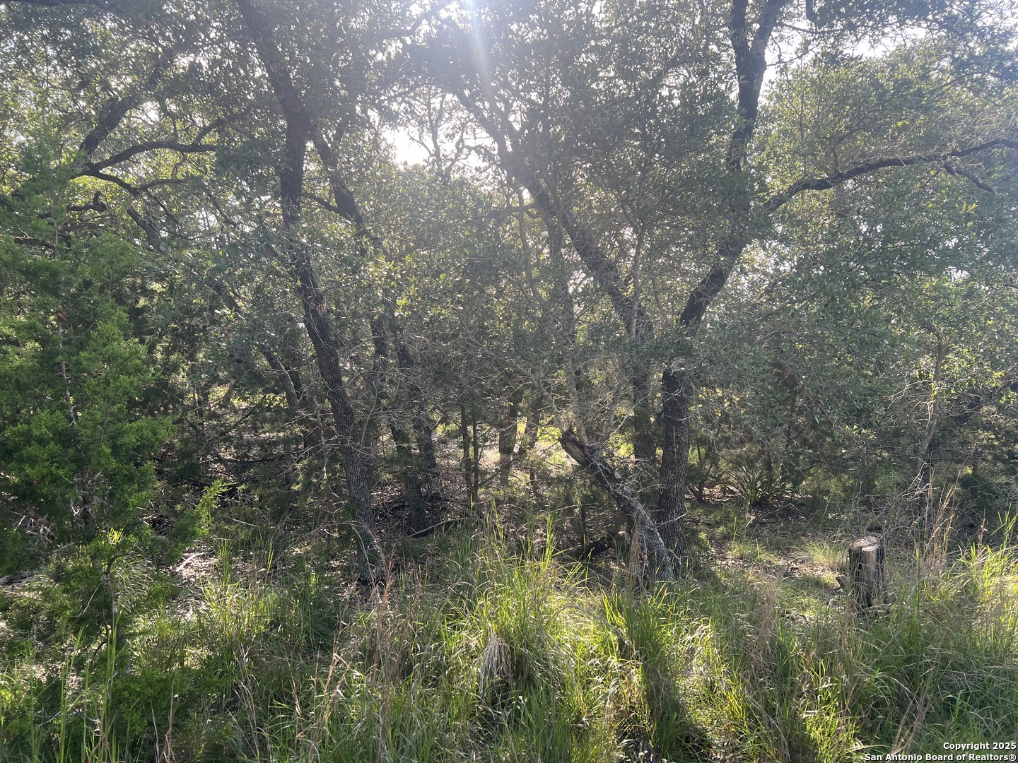 118 Coleman Boerne TX 78006