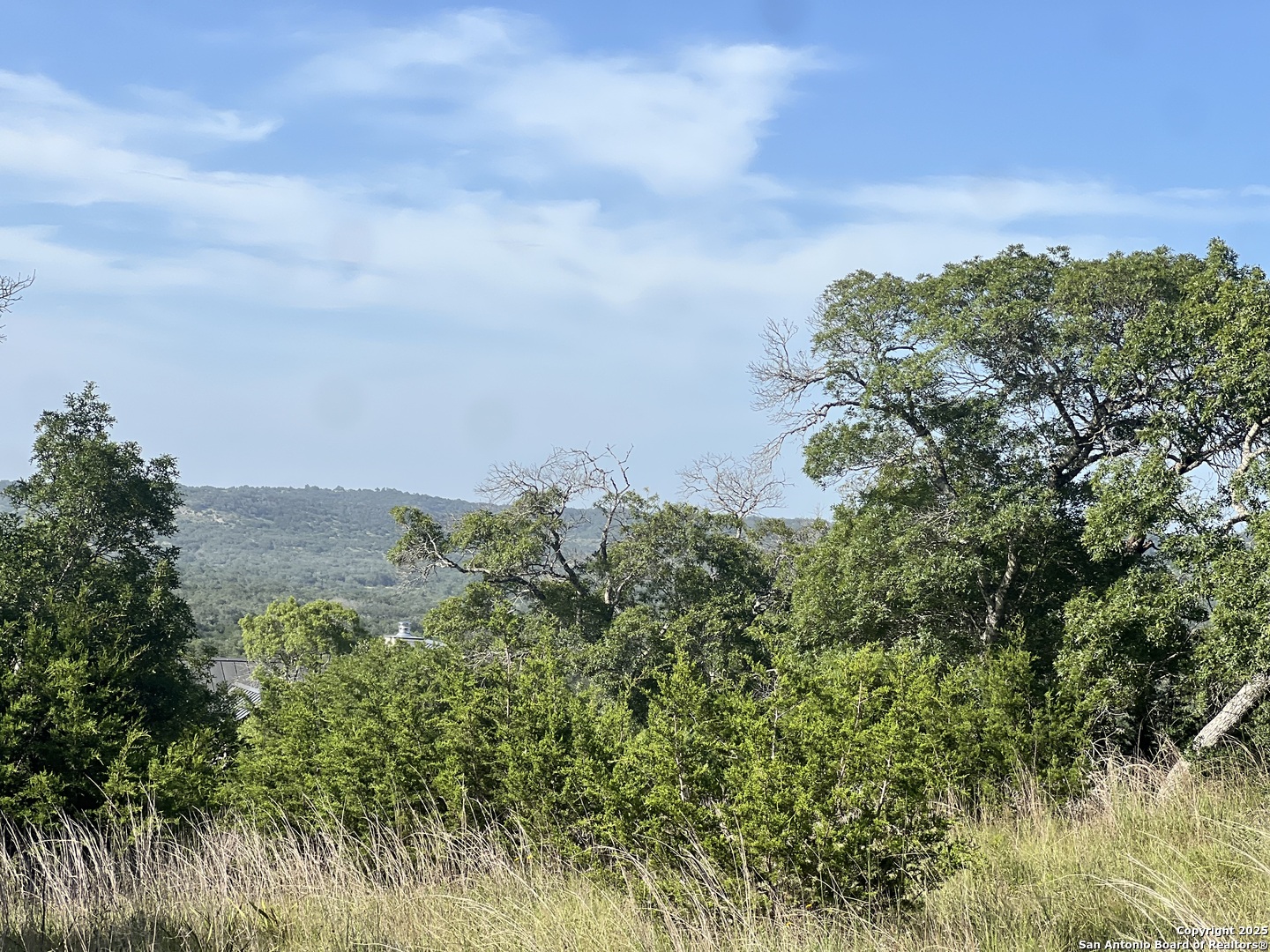 118 Coleman Boerne TX 78006