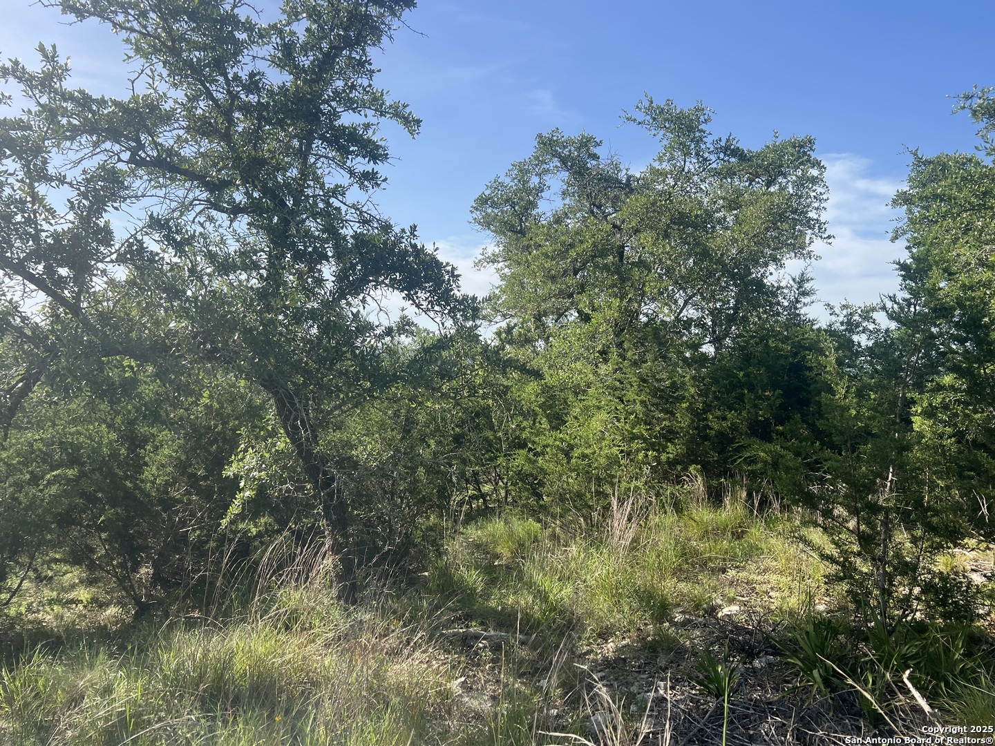 118 Coleman Boerne TX 78006