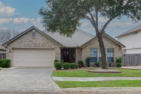 239 Rock Springs Drive New Braunfels TX 78130