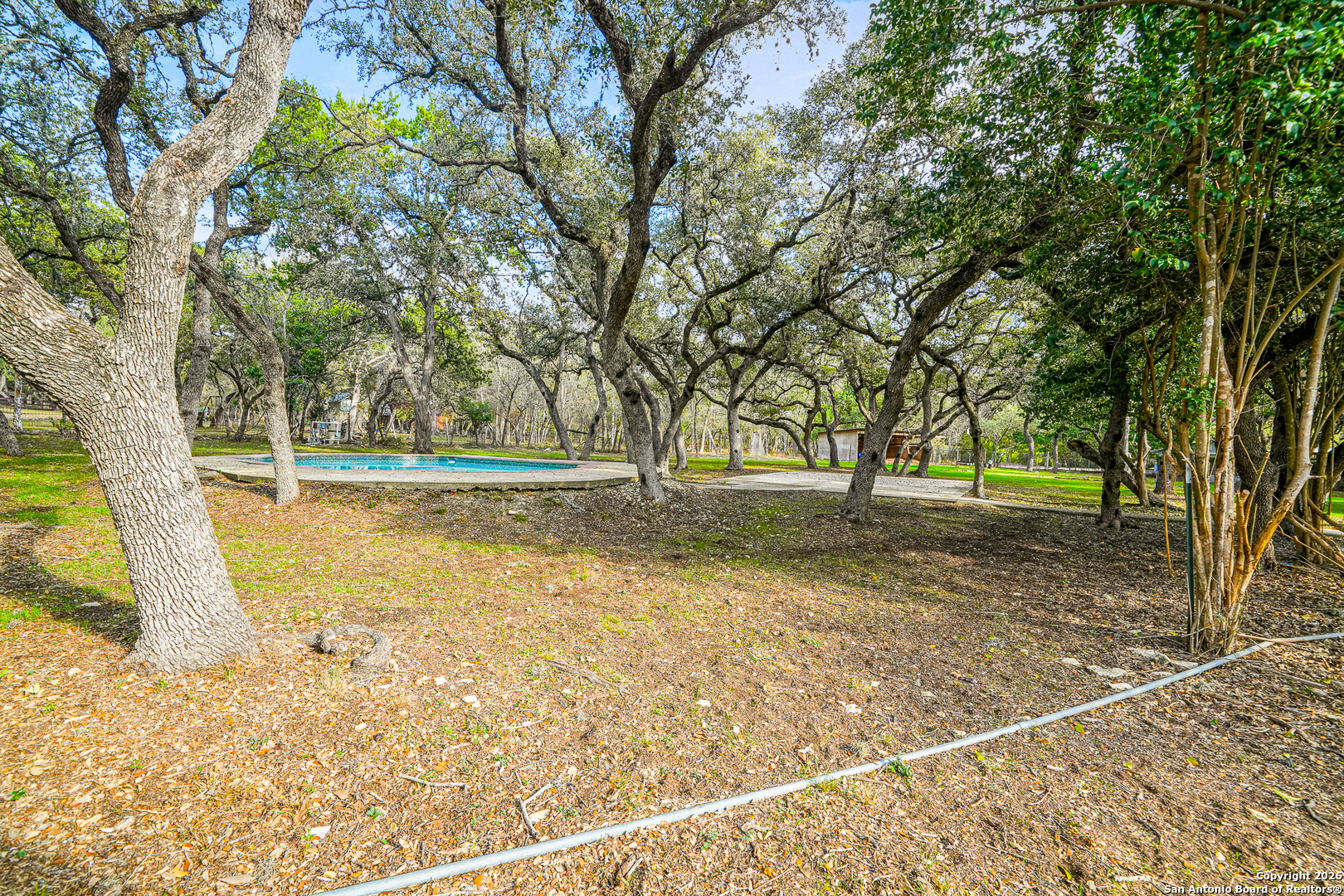 111 Wisteria San Antonio TX 78213