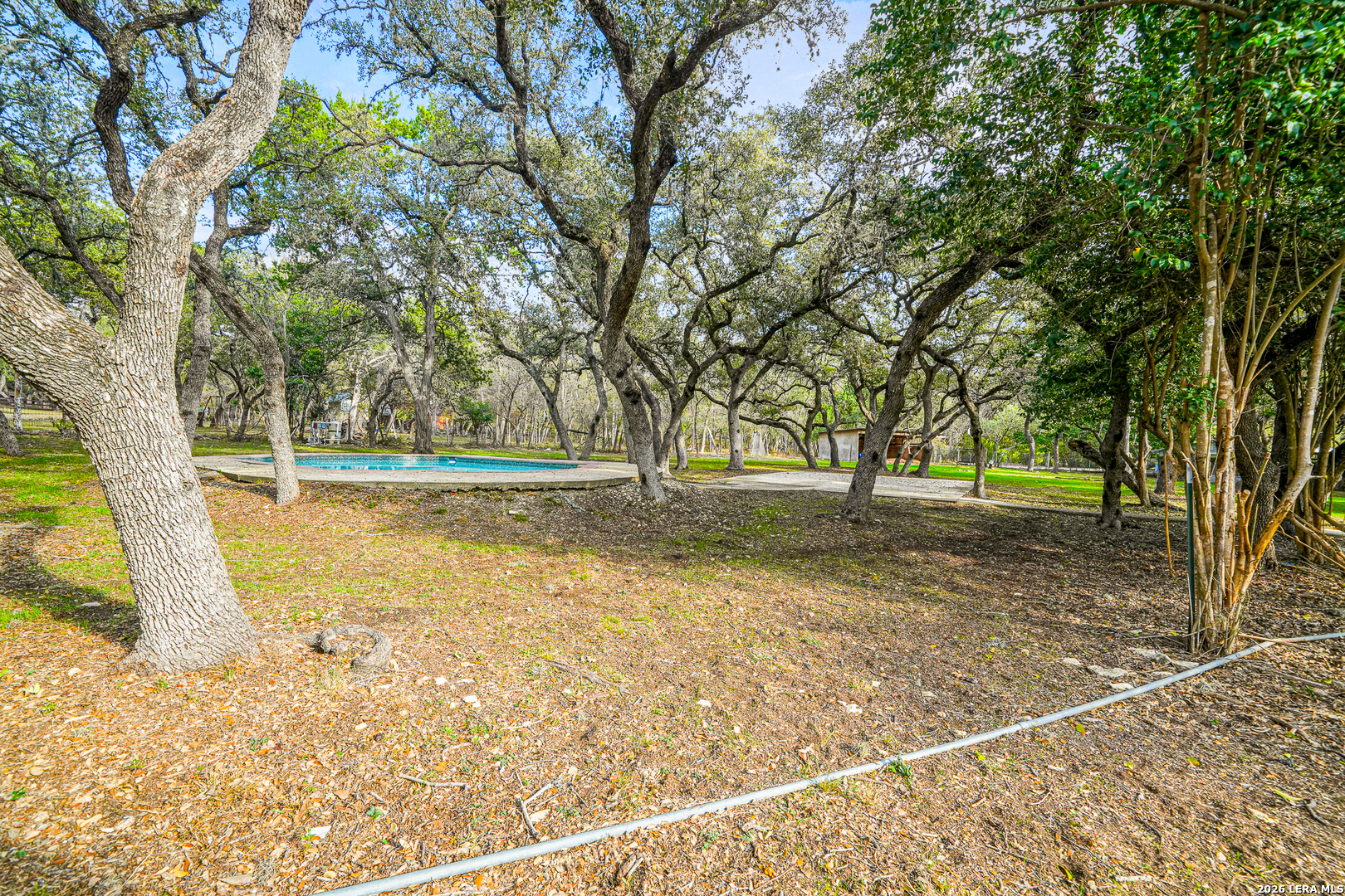 111 Wisteria San Antonio TX 78213