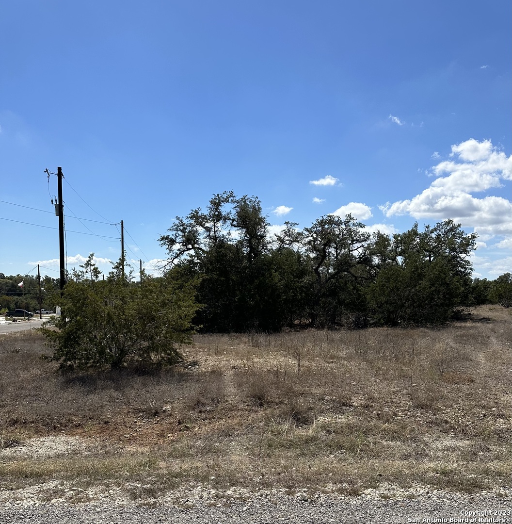101 David Renfro Blanco TX 78606