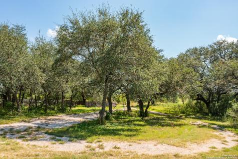 13831 Tx Highway 127 Sabinal TX 78881