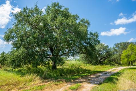 13831 Tx Highway 127 Sabinal TX 78881