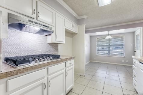 10602 Lands Run San Antonio TX 78230