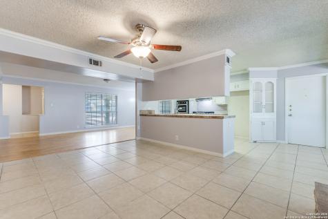 10602 Lands Run San Antonio TX 78230