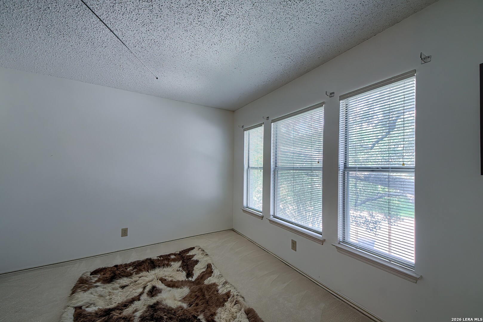 16506 Old Stable Road San Antonio TX 78247