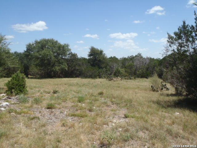 650 Shady Hollow New Braunfels TX 78132