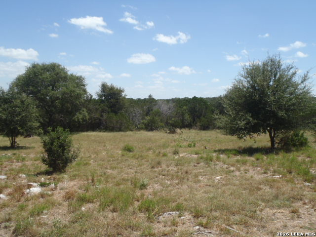 650 Shady Hollow New Braunfels TX 78132