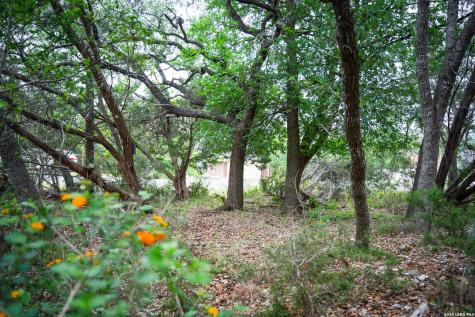 25815 Green River Drive San Antonio TX 78260