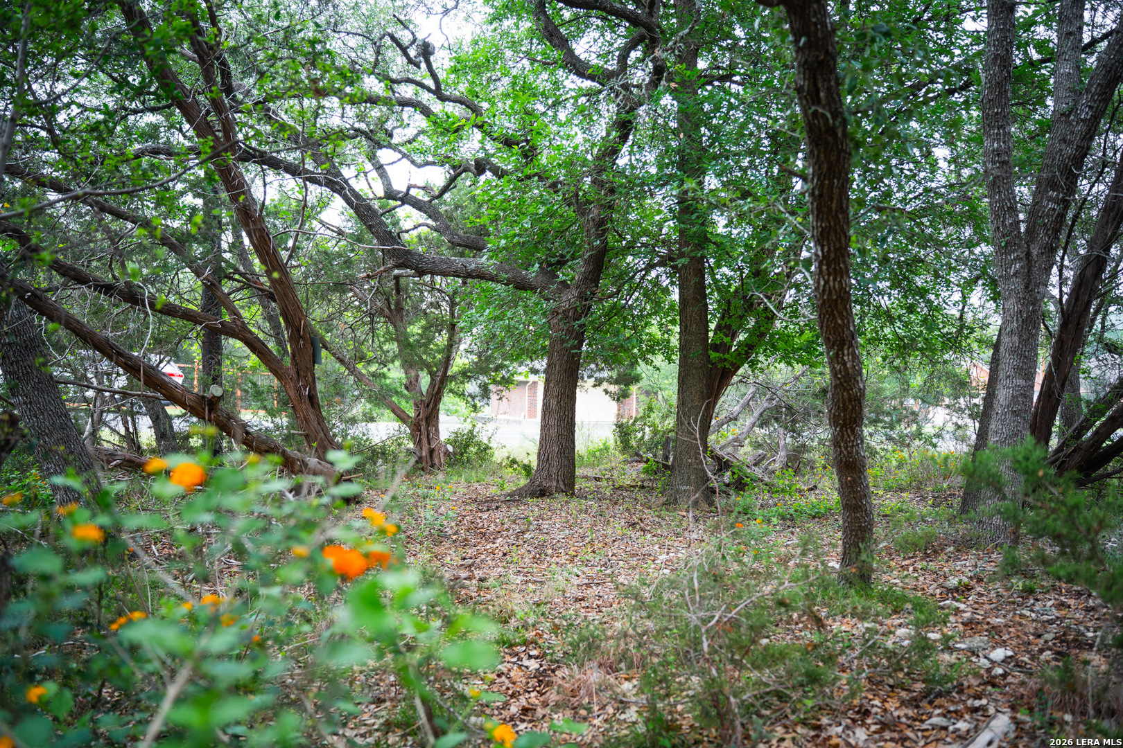 25815 Green River Drive San Antonio TX 78260