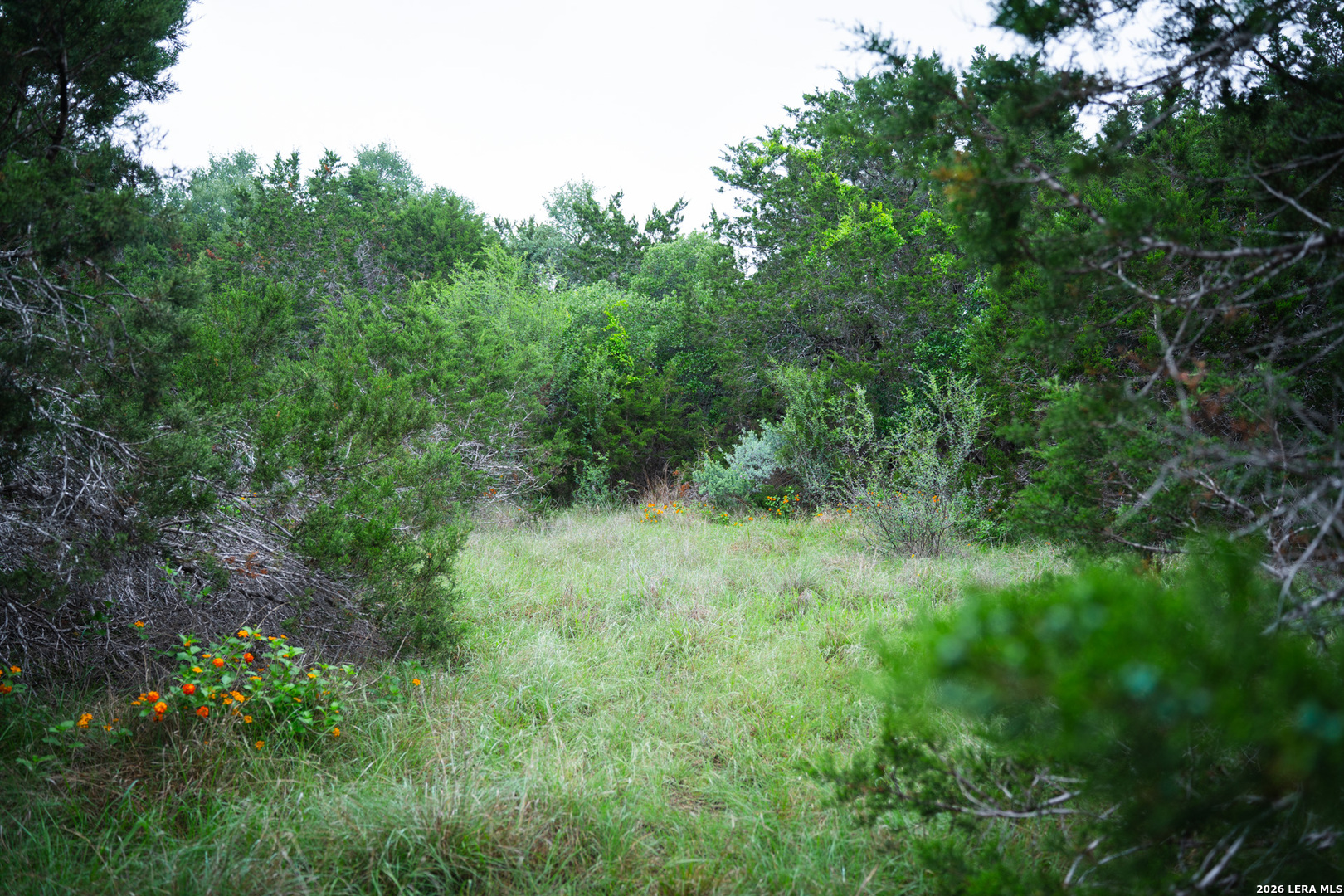 25815 Green River Drive San Antonio TX 78260