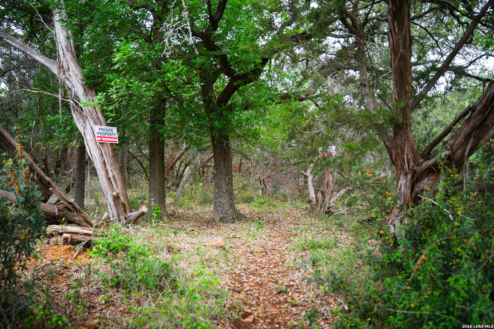 25815 Green River Drive San Antonio TX 78260