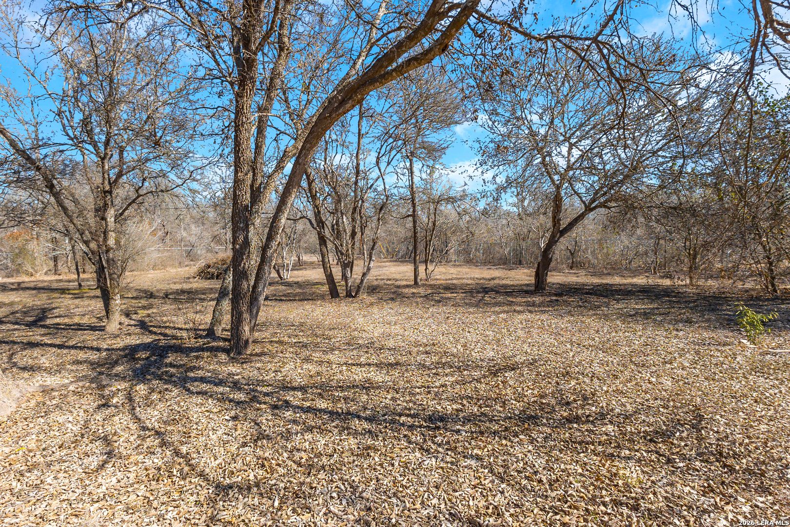 15202 Tamaron Valley San Antonio TX 78253