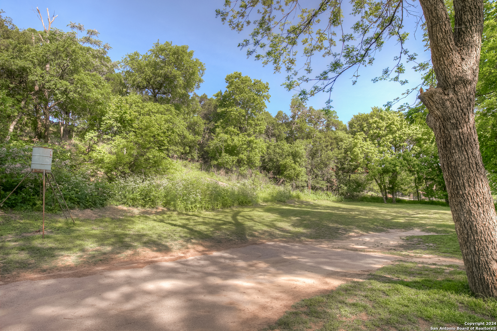 1390 Ervendberg Avenue New Braunfels TX 78130