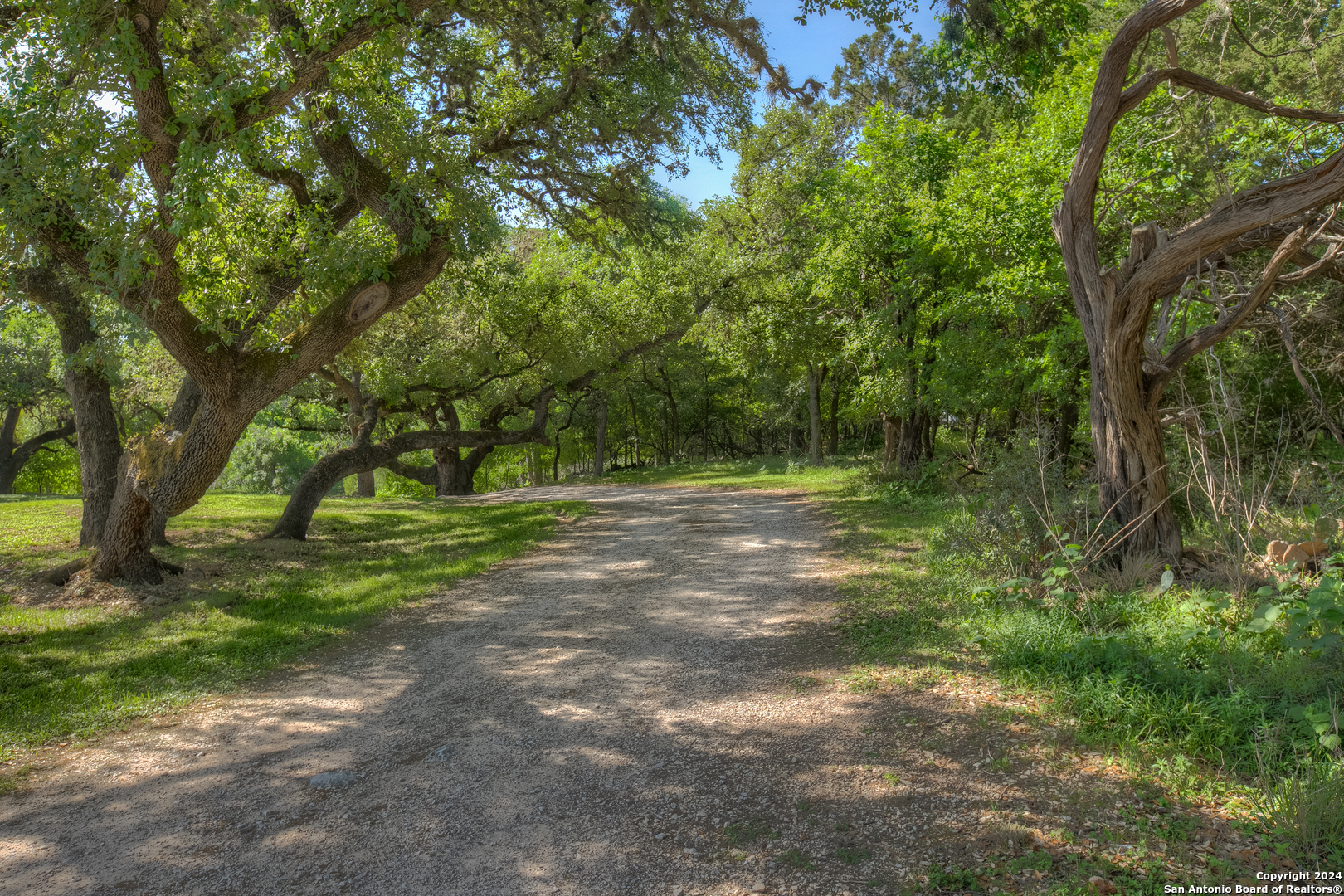 1390 Ervendberg Avenue New Braunfels TX 78130