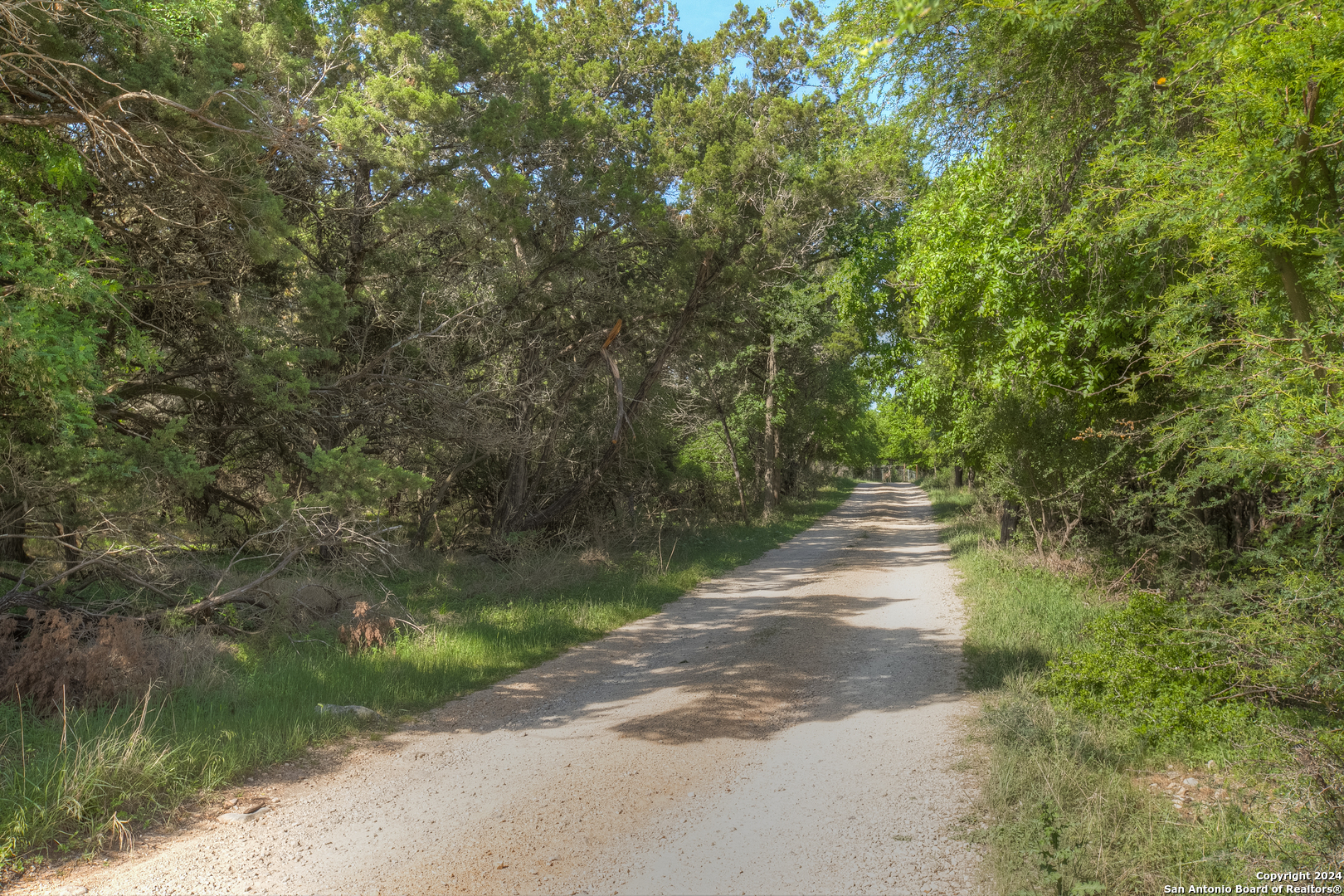 1390 Ervendberg Avenue New Braunfels TX 78130