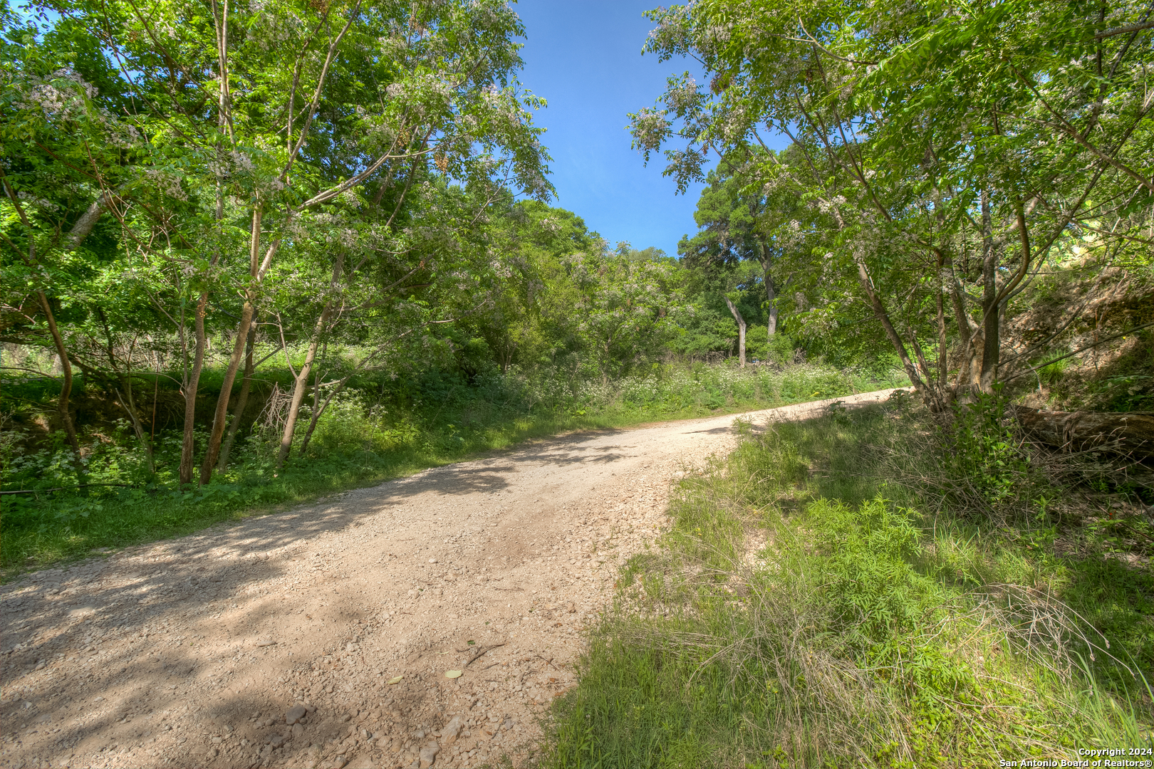 1390 Ervendberg Avenue New Braunfels TX 78130