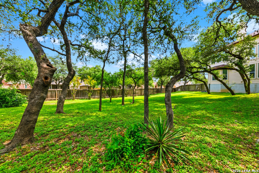 2460 James Agee Schertz TX 78154